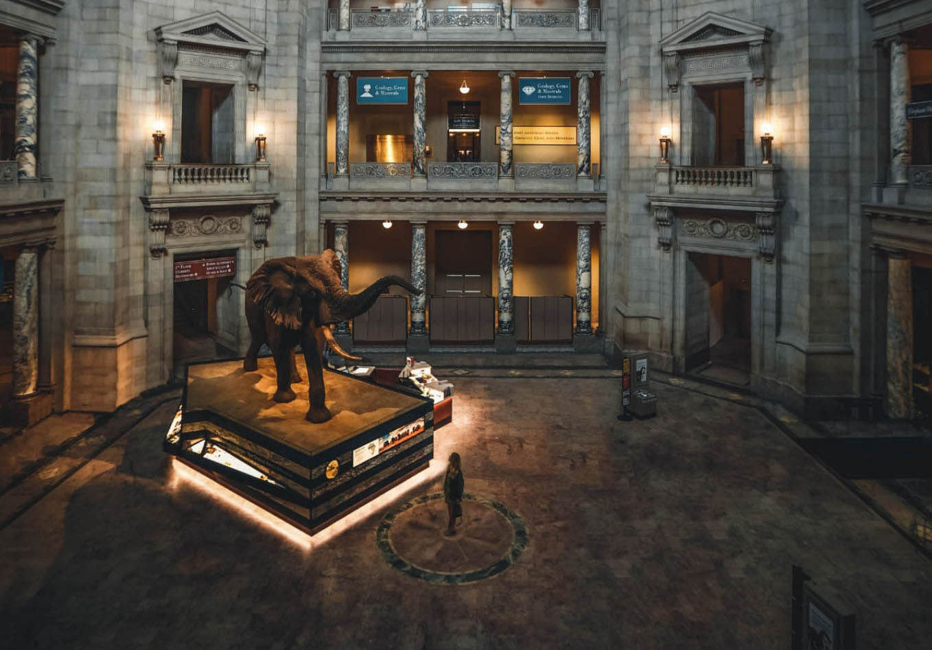 Image of the museum's Evolution exhibit area at night.